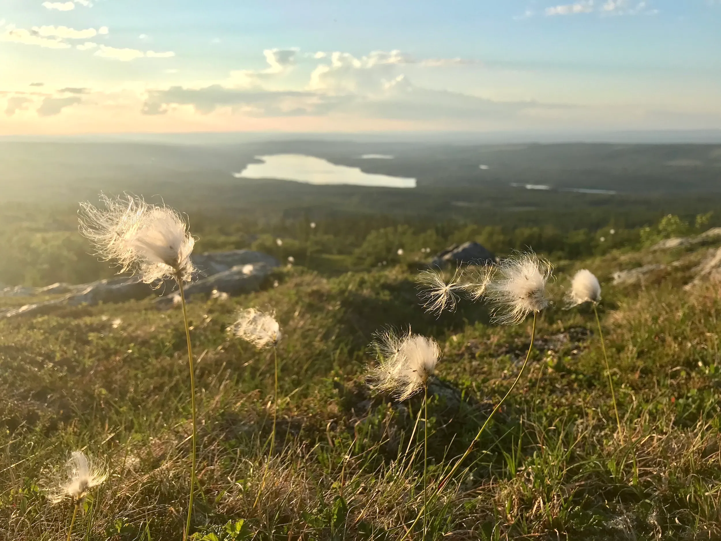 Running in beautiful Jämtland, Sweden