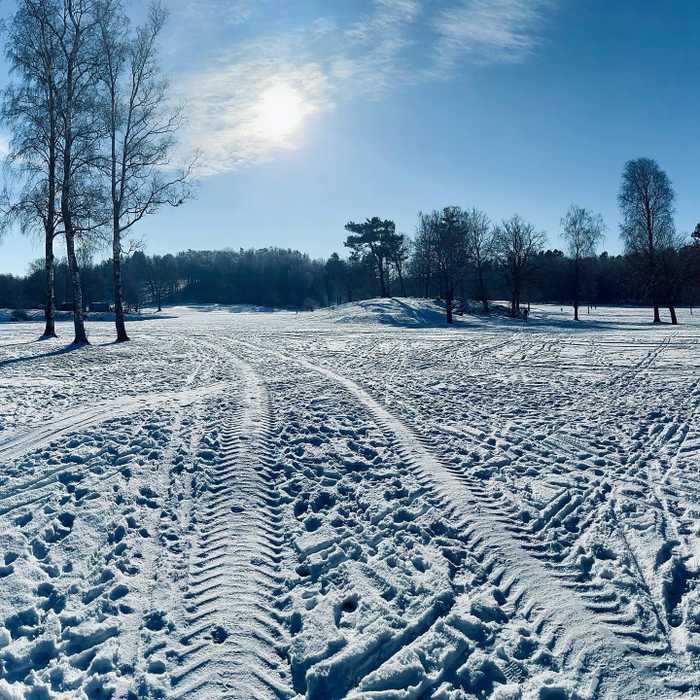 Running on the golf course in winter